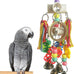 Parrot toys, bird hanging chew toys, for African Grays, Cockatoos, and Amazon parrots, small and medium-sized bird toys