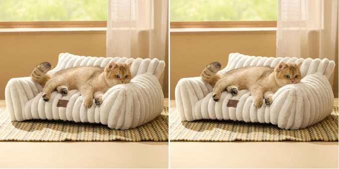 Bedsure 24inch ComfyFleece Cute Cat Couch for Indoor Cats, Cream, Removable Washable Cover and Supportive Pet Sofa