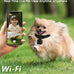 aez pet camera collar with app control, 1080p hd pet pov camera for cats dogs kids outdoor use