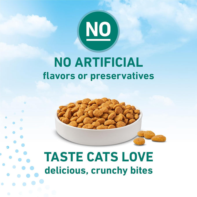 Purina ONE LiveClear Allergen-Reducing Cat Food Dry Formula with Real Chicken as Number One Ingredient - 3 lb Bag