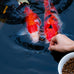 Premium floating pellets for pond and lake fish, 2 pounds, complete nutrition