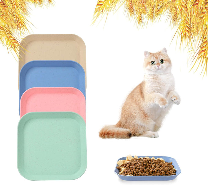 6 inch Wide Shallow Cat Bowls, 4Pcs, Food-Grade PP for Small Cats and Dogs, Whisker Fatigue Relief, Easy to Clean, Multicolor