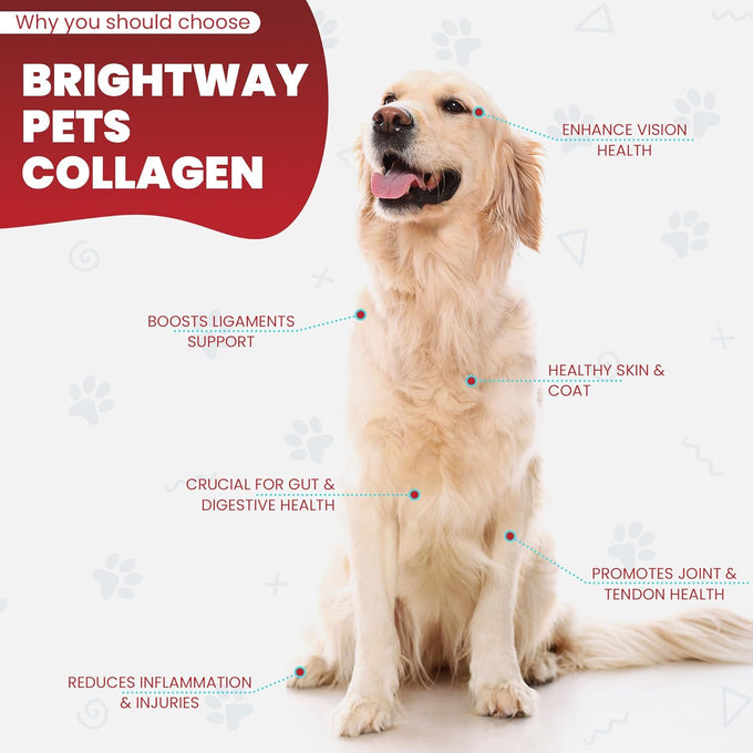 Grass fed Collagen for Dogs supports healthy skin, coat, hip, joint care and cartilage support for dogs with 100% all natural collagen