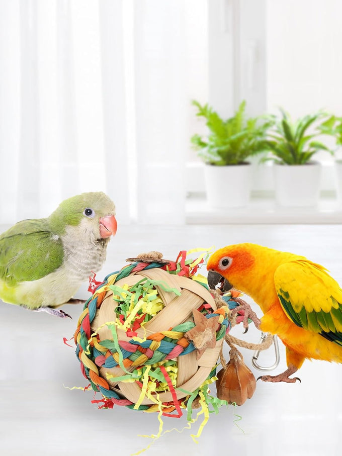 Wontee colorful crinkly shredding toys for medium-sized birds like cockatiels, conures, and parakeets, 1 pack, natural dried fruits chew