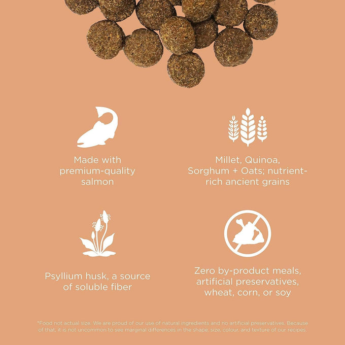 Go! Solutions Digestion + Gut Health Salmon Dry Dog Food, Premium Chicken-Free Kibble for Gastrointestinal & Digestive Wellness, Supports Sensitive Stomachs, for Puppies, Adults & Seniors, 22 lb Bag