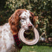 Tall Tails 7" Natural Leather Fetch Toy for Medium and Large Dogs