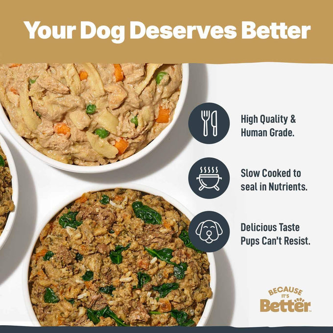 Because It's Better Entrée Variety Pack, 10oz Wet Dog Food