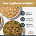 Human-Grade Wet Dog Food Entrée Variety Pack - 6 x 10 oz Pouches with Real Beef, Chicken, or Lamb