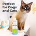 oxyfresh premium pet dental care solution 16 oz water additive for dogs and cats vet recommended