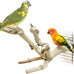 kathson natural parrot bird stand pole wild grape stick paw grinding fork parakeet climbing standing branches toy chewable cage accessories for small budgies cockatiels lovebirds set