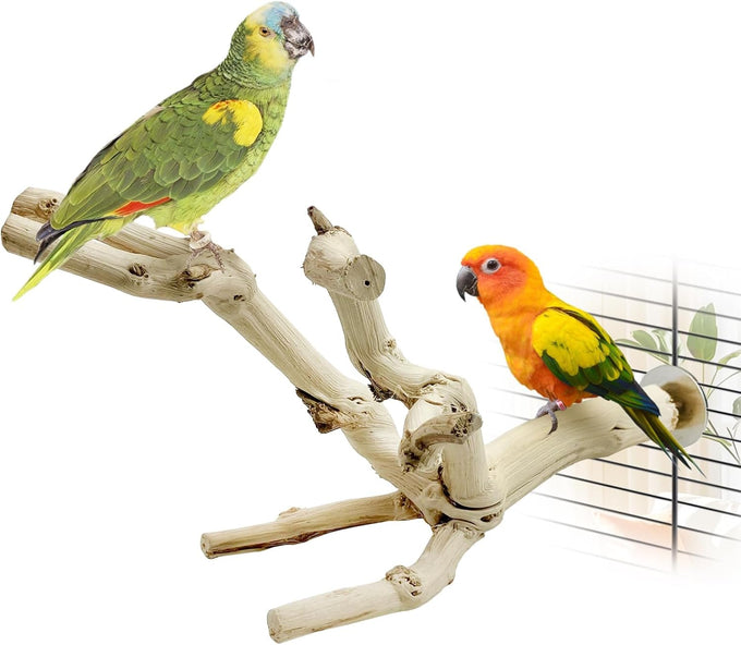 kathson natural parrot bird stand pole wild grape stick paw grinding fork parakeet climbing standing branches toy chewable cage accessories for small budgies cockatiels lovebirds set