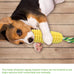 carllg dog chew toys for aggressive chewers, durable squeaky interactive dog toys corn stick toy for small medium large breeds