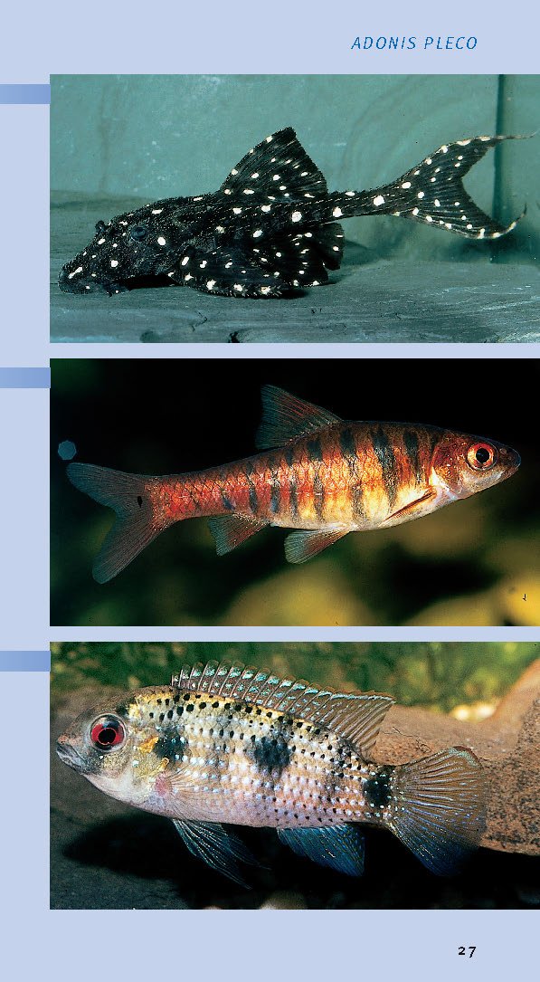 compass-guides-tropical-freshwater-aquarium-fish-paperback-2005-guide