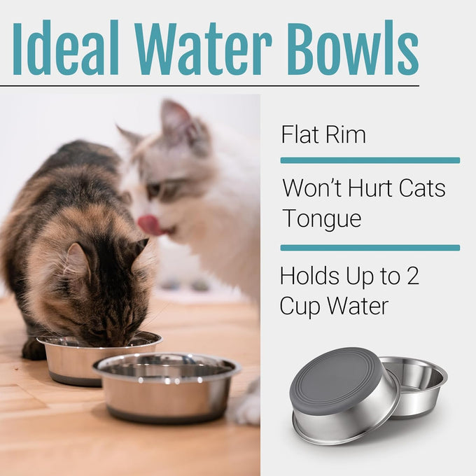 pegyy11 nonslip stainless steel dog and cat bowls, 2 us cups, 2 count, dishwasher safe
