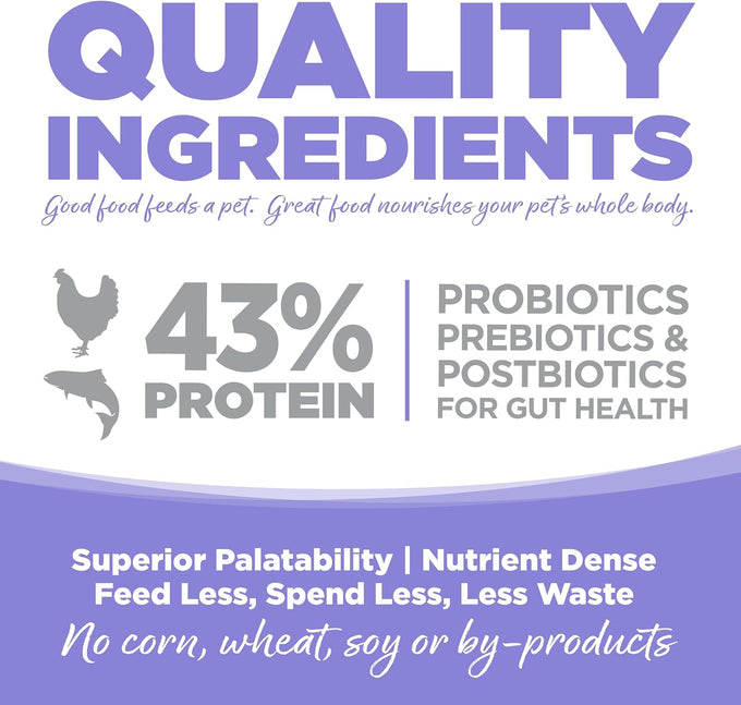 NutriSource Grain Free Chicken & Salmon Cat & Kitten Food, 4LB, 43% Protein, Omega-3 & Omega-6, Prebiotics & Probiotics
