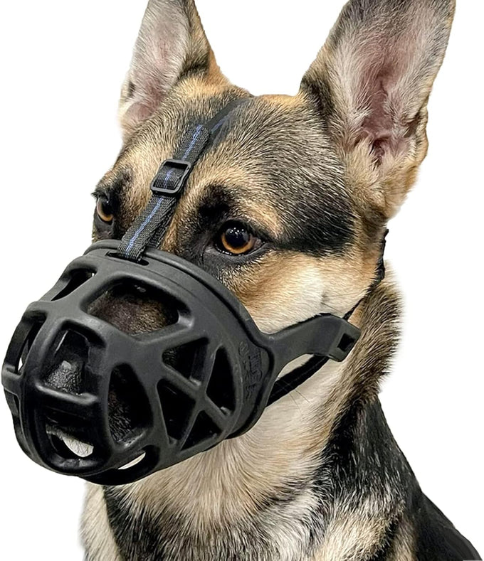 Barkless dog muzzle for biting, chewing and scavenging, humane cage mouth cover for medium aggressive reactive dogs, black, medium