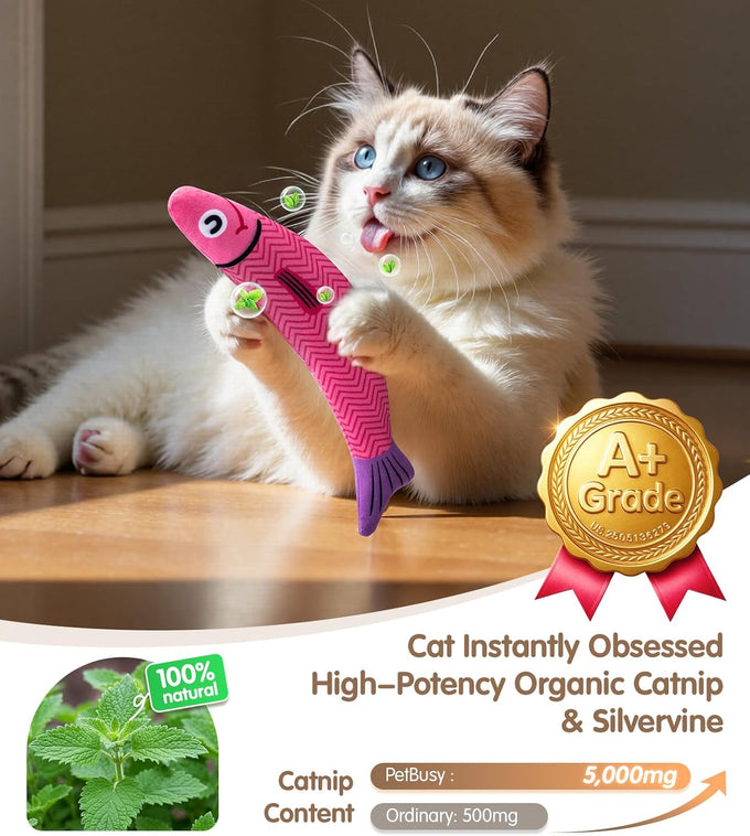 PetBusy cat toys with 5000mg organic catnip and silvervine, baby-grade soft and safe chew kicker for indoor cats and kittens