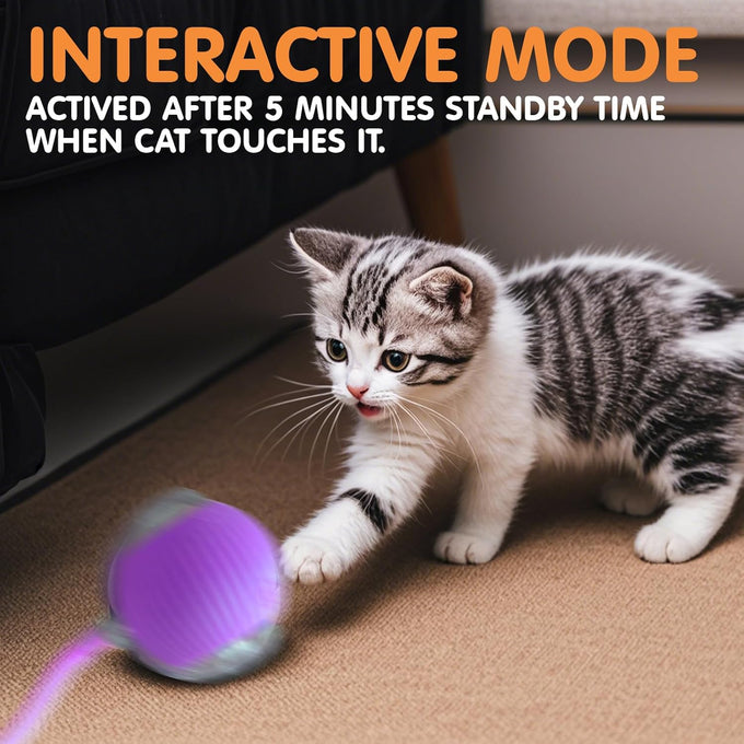 Rocfish Durable Interactive Cat Toy for Indoor Cats, Automatic Chase Ball Toy Purple