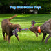 Feeko heavy duty dog rope toys 2 pack for large breed aggressive chewers, indestructible teeth cleaning tug of war toy