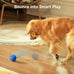 Cheerble Wicked Ball AIR Interactive Dog Toy, E-TPU Material, IPX7 Waterproof, Medium to Large Dogs, 3 Modes, Replaceable Shell