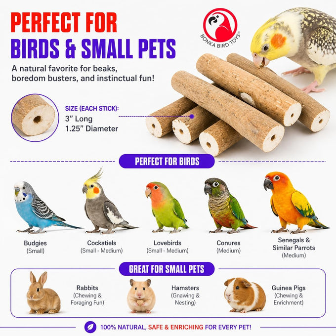Bonka Bird Toys 1211 Pk6 6-pack natural sola sticks 3 long 1.25 diameter soft chew foraging toy
