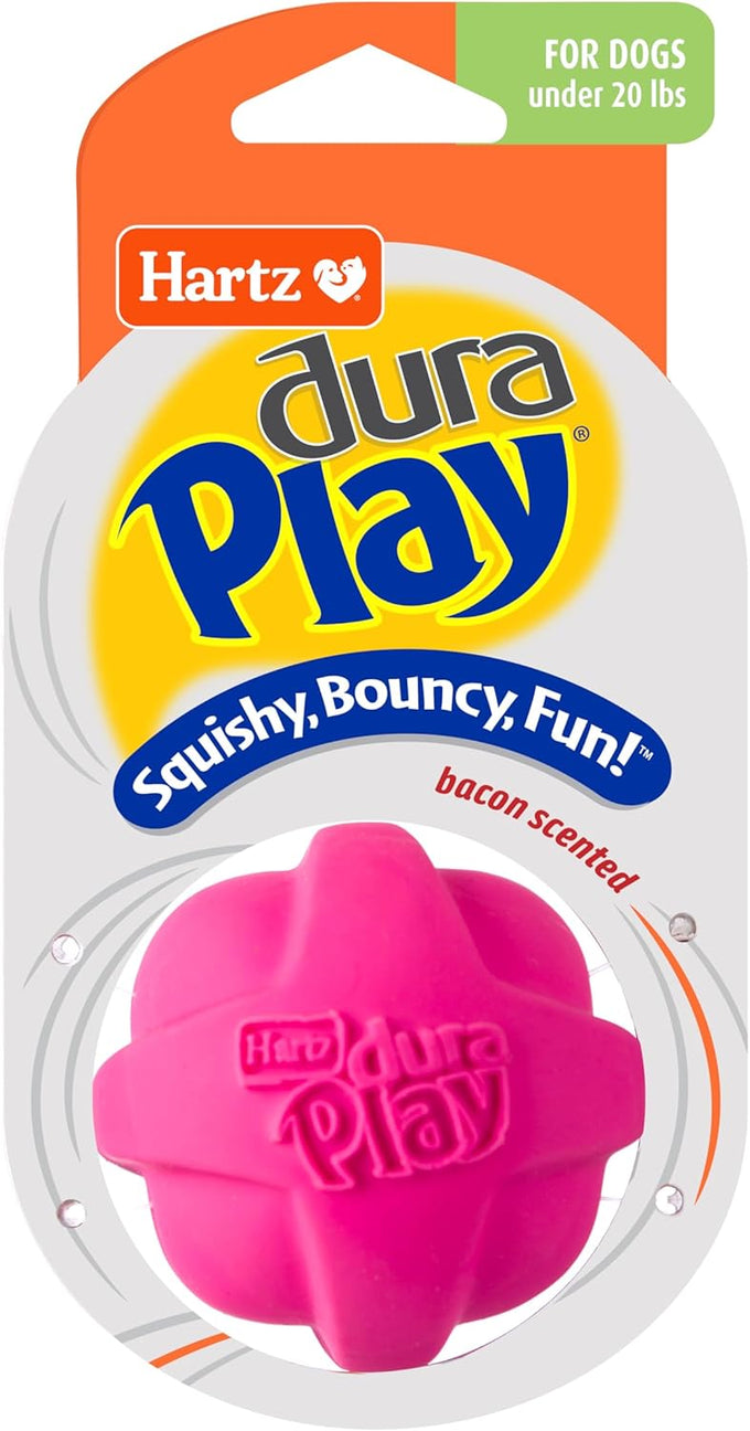Hartz DuraPlay Bacon Scented Small Dog Toys, Assorted Color, Durable Latex and Foam, Squeaker