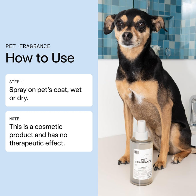 DedCool 01 Taunt Clean Luxury Pet Perfume for Dogs 8.5 fl oz Non-Toxic Vegan Deodorizing Spray