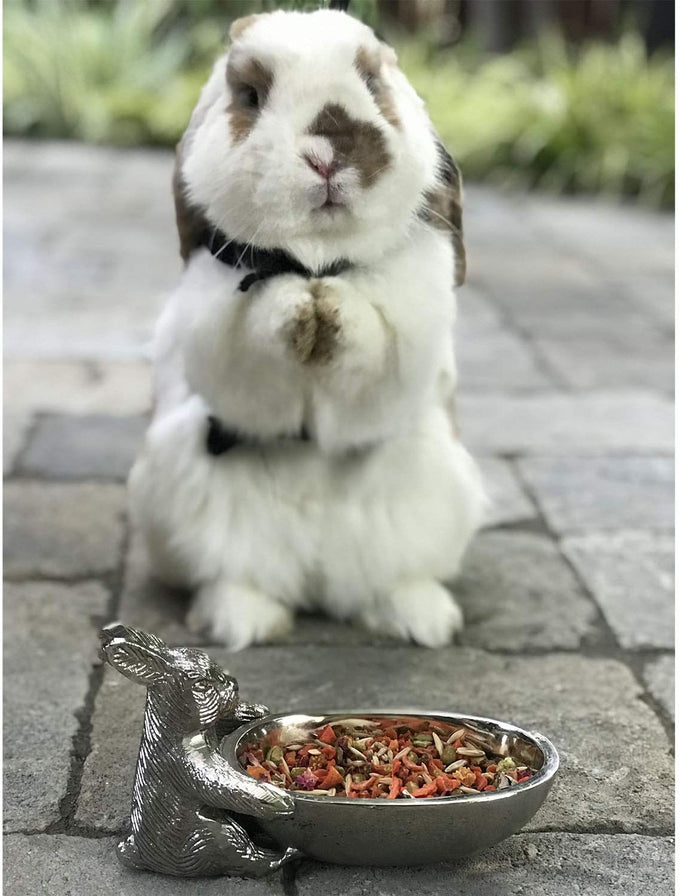 Herbivore Treat for Chinchillas, Rabbits, and Small Pets - Healthy Natural Mix - 3 oz. Sweet Potatoes, Carrots, and Oats