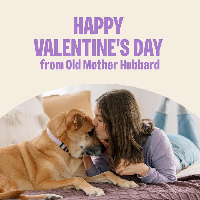 Old Mother Hubbard Natural Peanut Butter Flavor Dog Biscuits, 6 oz Bag, Valentine's Day Seasonal Treats