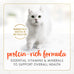 Purina Fancy Feast Salmon Feast Classic Grain Free Wet Cat Food Pate - (Pack of 24) 3 oz. Cans