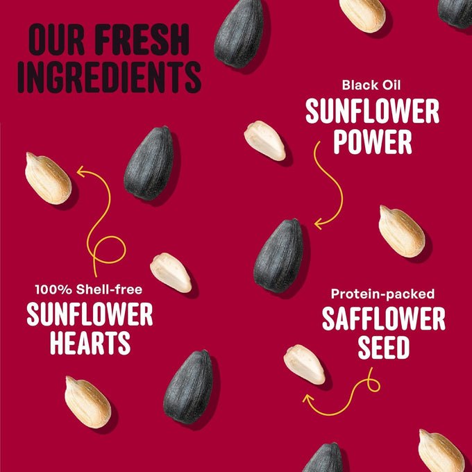 Cool Birds Cardinal & Crew 10 lb Black Oil Sunflower Blend for Cardinals, Grosbeaks & Chickadees Bird Food