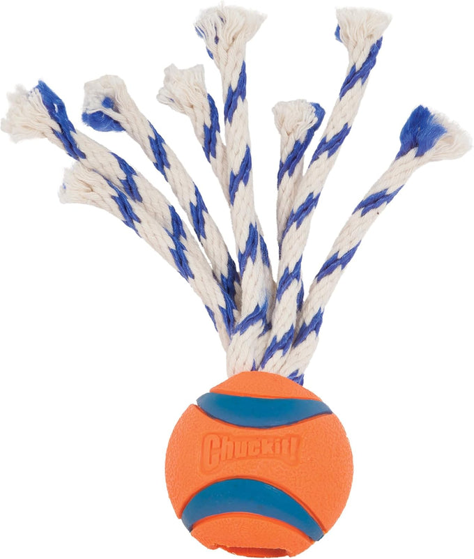Chunky Chuckit! Ultra Tug Dog Toy, Medium, 20-60 pound dog fetch and tug toy with 2.5 inch ball