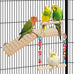 Wooden bird perches platform swing with climbing ladder for cockatiels, lovebirds, and small pets cage accessories