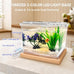 MoonOrange 0.2 Gallon Mini Betta Fish Tank Kit with LED Light Base, Stackable Cube Tank for Small Fish and Pets