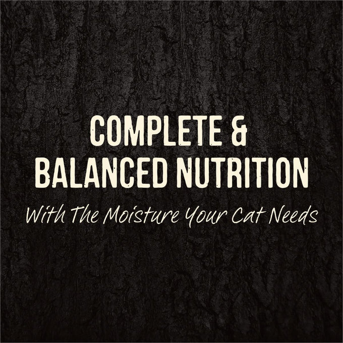 Merrick Backcountry grain free beef recipe morsels in gravy, 24 pouches, 3 oz each, high protein wet cat food