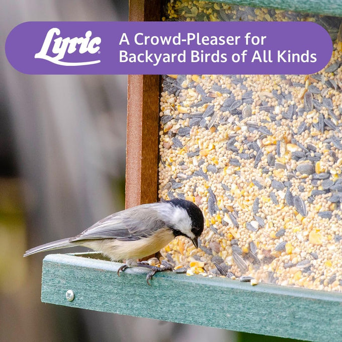 Lyric 20 lb All-Natural Wild Bird Mix with Corn, Nuts, and Sunflower Seeds for Outside Feeders