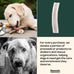 Mountain Valley elk antlers for dogs - 100% natural & organic chews, no odor, no mess, long lasting, grade A, large size