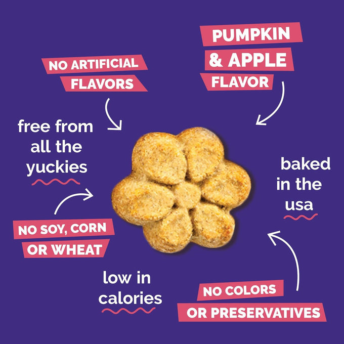 Fruitables Baked Dog Treats, Low Calorie, No Wheat, Corn or Soy, Made in the USA, Pumpkin and Apple Flavor, 12oz