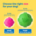 Hartz DuraPlay Bacon Scented Small Dog Toys, Assorted Color, Durable Latex and Foam, Squeaker