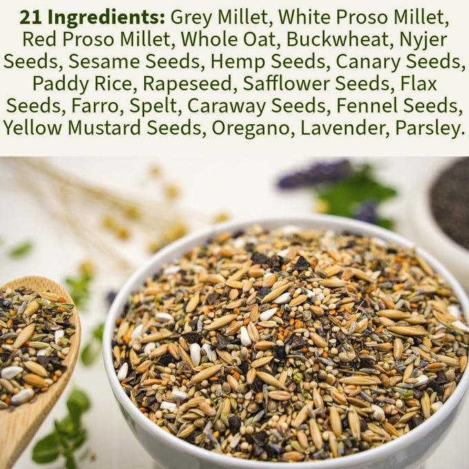 Cockatiel, Conure, Lovebird, Quaker, Parrotlet Food | No Corn, Soy, Peanuts | Gourmet Whole Grains & Seeds | 1 lb Daily Blend