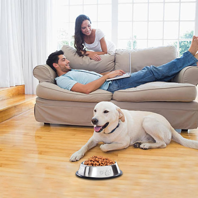 stainless steel dog bowl set with rubber base non-slip pet dishes for small medium animals 7 oz capacity