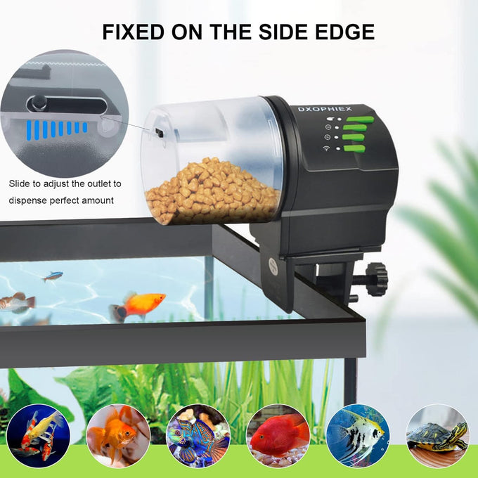 dxophiex wifi fish feeder automatic fish feeder for aquarium and turtle tank with feeding ring