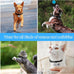 HD 1080P Mini Pet Collar Camera with Video Record and Photos for Dogs and Cats - Small Sports Video Cameras