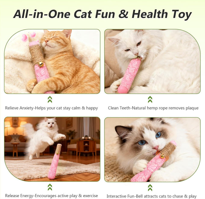 3 pack catnip toys for cats, funny cat toys with organic catnip, dental rope, and fun bell