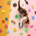 Quozuo 60pcs kitten toys, cat balls springs toy set with variety of cat ball toy, cat mouse toys, cat springs