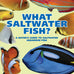 What Saltwater Fish: A Comprehensive Guide for Aquarium Enthusiasts, March 10, 2023, Paperback