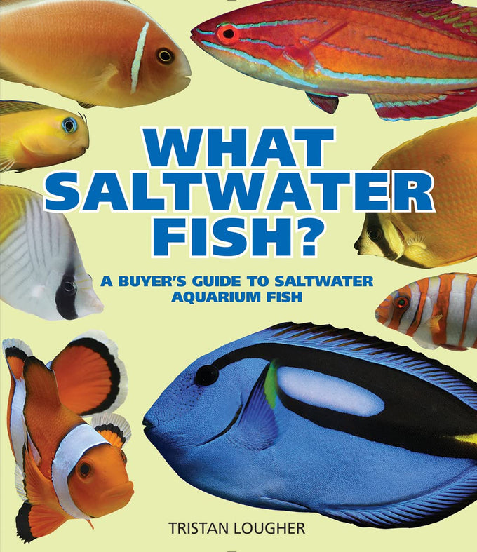 What Saltwater Fish: A Comprehensive Guide for Aquarium Enthusiasts, March 10, 2023, Paperback