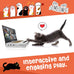 cat laptop scratcher 3-in-1 cardboard interactive kitten toy with mouse jingle ball stickers