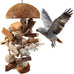 natural bird toys for parrots - handmade coconut shell shredding toy for sun conures conures caiques cockatiels