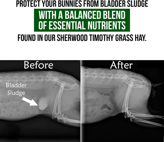 sherwood timothy hay pellet rabbit food 10 lbs hay-based grain-free soy-free adult nutrition